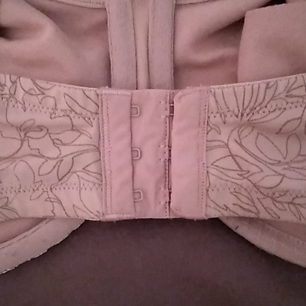 Bra - Picture 2 of 2